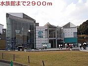 海きららまで2900ｍ