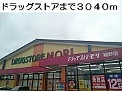 【ドラッグストア】ドラックストアまで3040ｍ