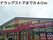 【ドラッグストア】ドラッグストアまで840ｍ