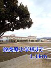 【小学校】放虎原小学校まで1100ｍ