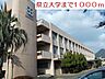 周辺：【大学】長崎県立大学まで1000ｍ