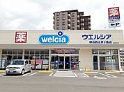 【ドラッグストア】ウエルシア明石西江井ヶ島店まで1100ｍ