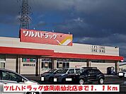 【ドラッグストア】ツルハドラッグ盛岡南仙北店まで1100ｍ