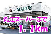 【スーパー】丸江スーパーまで1100ｍ