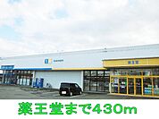 【ドラッグストア】薬王堂まで430ｍ