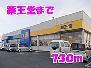 【ドラッグストア】薬王堂まで730ｍ