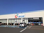 【ドラッグストア】カワチ薬品 三里塚店まで600ｍ