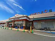 【スーパー】ナリタヤ鷹の台店まで2600ｍ