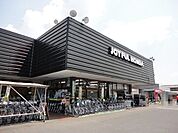 【ホームセンター】ジョイフル本田市原店まで800ｍ