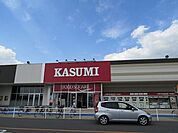 【スーパー】カスミライフガーデン茂原店まで500ｍ