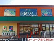 【スーパー】ユーコ－プまで350ｍ