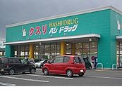 【ドラッグストア】ハシドラッグ南福島店まで250ｍ