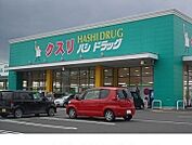 【ドラッグストア】ハシドラッグ南福島店まで1100ｍ