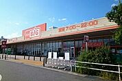 【スーパー】ザ・ビッグイオンタウン店まで600ｍ