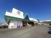 【スーパー】新鮮市場　松岡店まで160ｍ