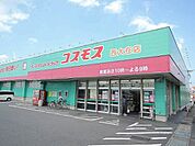 【ドラッグストア】コスモスまで1000ｍ