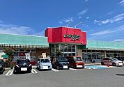 【スーパー】しまむらストアーまで650ｍ