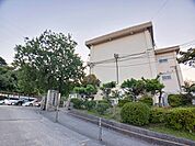 【小学校】桃園小学校まで450ｍ