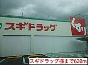 【ドラッグストア】スギドラッグ様まで620ｍ