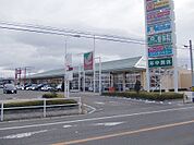 【スーパー】ヨークベニマル大槻店まで1200ｍ