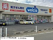 【ドラッグストア】ウエルシア堺美原店様まで1200ｍ