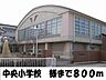 周辺：【小学校】中央小学校様まで800ｍ