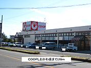 【スーパー】COOPしおかわ店まで170ｍ