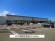 【ドラッグストア】カワチ薬局花春店まで1200ｍ