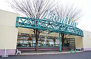 【スーパー】リオン・ドール須賀川南店まで500ｍ