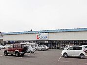 【ドラッグストア】カワチまで2100ｍ