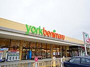 【スーパー】ヨークベニマル田村店まで1100ｍ