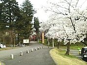 【公園】悠久山公園まで1860ｍ