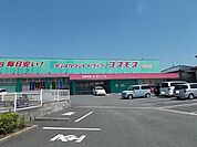 【ドラッグストア】コスモス菊南店まで1300ｍ