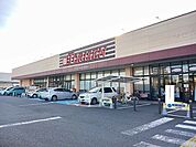 【スーパー】とりせん細谷店まで1200ｍ