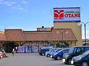 【スーパー】（株）オータニ 野沢店まで379ｍ
