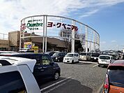 【スーパー】ヨークベニマル石橋店まで550ｍ