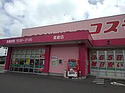 【ドラッグストア】コスモス星倉店まで3000ｍ