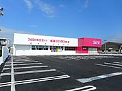 【ドラッグストア】コスモス吾田店まで800ｍ