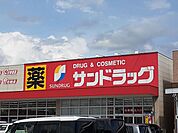 【ドラッグストア】サンドラッグ国分店まで1200ｍ
