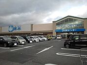 【ホームセンター】綿半スーパーセンター中野店まで2900ｍ