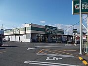 【スーパー】ポテト　森島店まで700ｍ