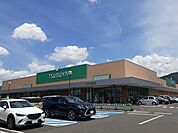 【スーパー】ツルヤ　並柳店まで1400ｍ