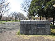 【公園】本城運動公園まで900ｍ