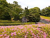【公園】広見公園まで900ｍ