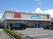 【ドラッグストア】ウエルシア　田中町店まで650ｍ