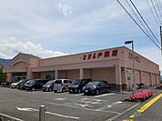 【ドラッグストア】とをしや　庄内店まで700ｍ