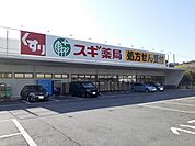 【ドラッグストア】スギドラッグ　大宮植竹店まで850ｍ