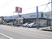 【ドラッグストア】ウエルシア清水興津店まで650ｍ
