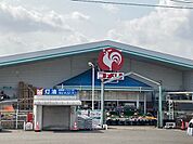 コメリ 岩滝店まで1500ｍ