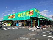 【ドラッグストア】杏林堂薬局豊田小立野店まで1600ｍ